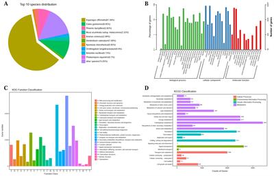 Functional characterization of CYP96T1-like cytochrome P450 from Lycoris aurea catalyzing para-para′ and para-ortho′ oxidative coupling in Amaryllidaceae alkaloids biosynthesis